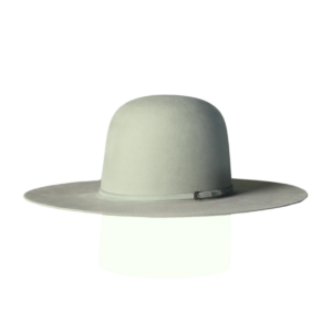 Aqua Pure Beaver Western Felt Hat